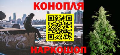 шишки Лесосибирск
