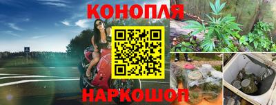 дживик Ливны