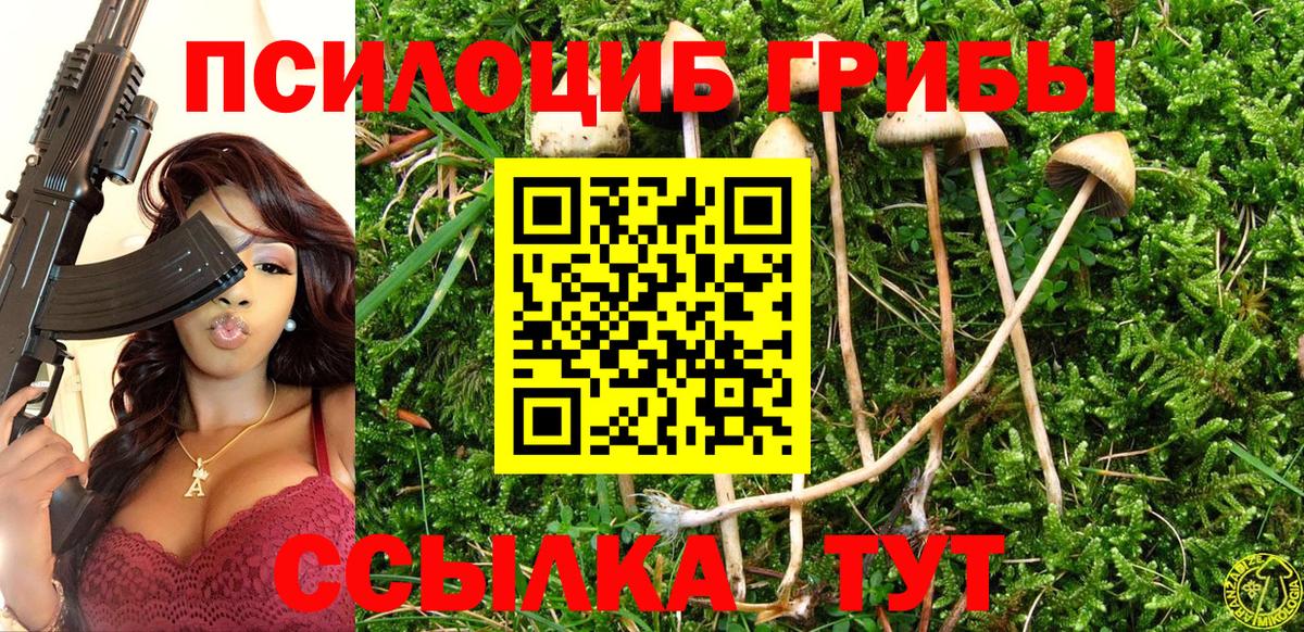 Галлюциногенные грибы Psilocybine cubensis  Псилоцибиновые грибы Cubensis  Вход с VPN  Липецк 